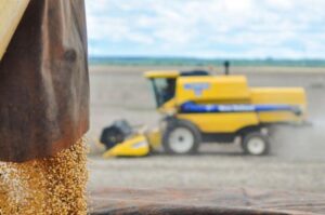MS reforça peso no agro e amplia presença nas exportações ms-reforca-peso-no-agro-e-amplia-presenca-nas-exportacoes