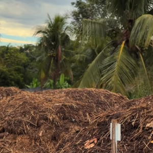Bonito amplia compostagem em ação Lixo Zero bonito-amplia-compostagem-em-acao-lixo-zero