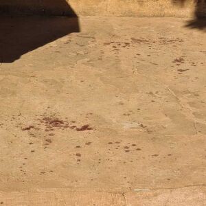 Vizinho estranha sumiço, vê urubus e encontra pecuarista morto em Três Lagoas vizinho-estranha-sumico,-ve-urubus-e-encontra-pecuarista-morto-em-tres-lagoas
