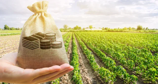 camara-aprova-projeto-que-muda-regras-do-seguro-rural-e-pode-beneficiar-produtores-do-ms