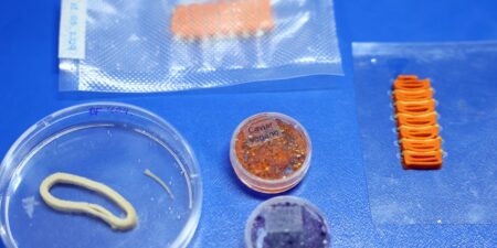 Embrapa produz em laboratório salmão, caviar e anéis de lula veganos embrapa-produz-em-laboratorio-salmao,-caviar-e-aneis-de-lula-veganos