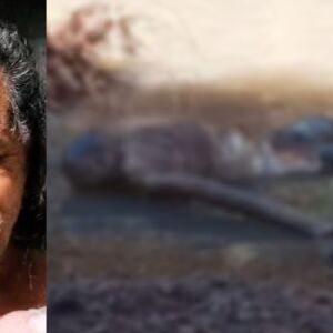 Família procurava há dias por homem encontrado morto no córrego do Caiobá familia-procurava-ha-dias-por-homem-encontrado-morto-no-corrego-do-caioba