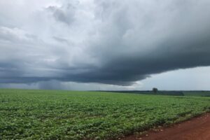 Ciclone-bomba provoca ventos de quase 82 km/h e coloca Mato Grosso do Sul em alerta para temporais e frio intenso