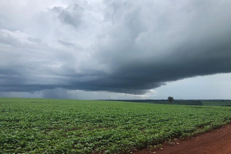 Ciclone-bomba provoca ventos de quase 82 km/h e coloca Mato Grosso do Sul em alerta para temporais e frio intenso Ciclone-bomba provoca ventos de quase 82 km/h e coloca Mato Grosso do Sul em alerta para temporais e frio intenso