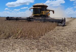 Colheita da soja entra na reta final em MS e produção deve superar 17,7 milhões de toneladas