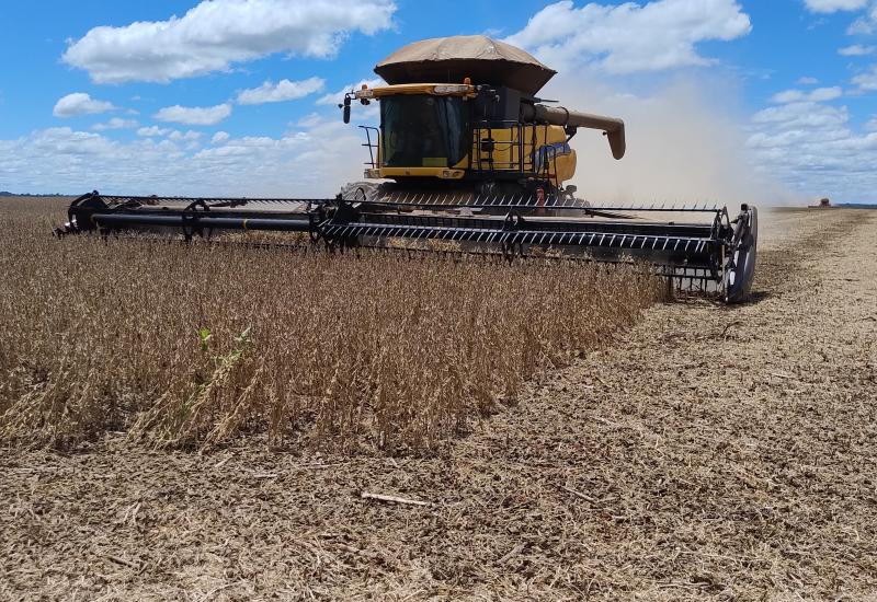 Colheita da soja entra na reta final em MS e produção deve superar 17,7 milhões de toneladas Colheita da soja entra na reta final em MS e produção deve superar 17,7 milhões de toneladas