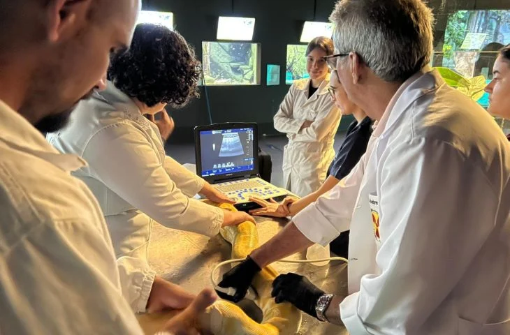 Parceria entre Bioparque Pantanal e UFMS garante cuidados preventivos em serpentes e arraias Parceria entre Bioparque Pantanal e UFMS garante cuidados preventivos em serpentes e arraias