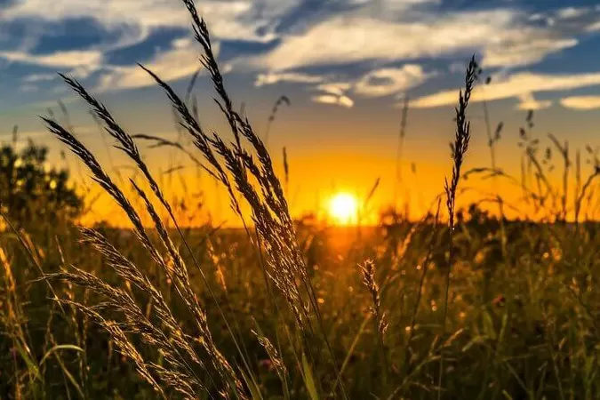 Sol predomina, mas chuvas em MS não estão descartadas nesta quinta-feira (14) Sol predomina, mas chuvas em MS não estão descartadas nesta quinta-feira (14)