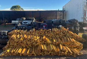 GARRAS apreende 3,9 toneladas de maconha na zona rural de Campo Grande