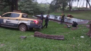 Mulher de Campo Grande morre após carro cair em piscina durante perseguição policial