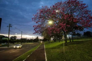 Ciclone extratropical avança e coloca Mato Grosso do Sul em alerta para temporais, granizo e ventos de até 100 km/h Céu de Campo Grande com nebulosidade nesta manhã (Foto: Juliano Almeida)