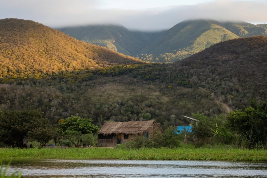 ms-remunera-produtores-rurais-que-preservam-vegetacao-nativa-no-pantanal-acima-do-minimo-legal