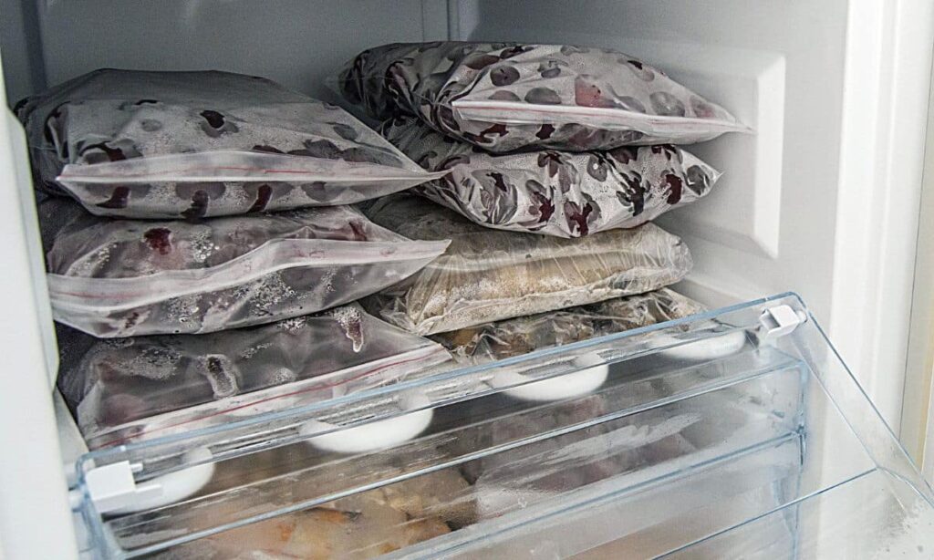 Comida caseira congelada: como ganhar tempo sem depender de ultraprocessados comida-caseira-congelada:-como-ganhar-tempo-sem-depender-de-ultraprocessados