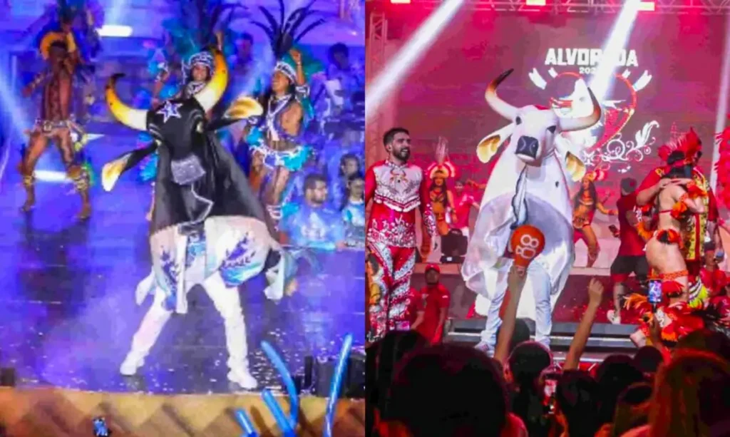 festival-de-parintins-conhece-campeao-nesta-segunda-apos-tres-noites-de-disputa