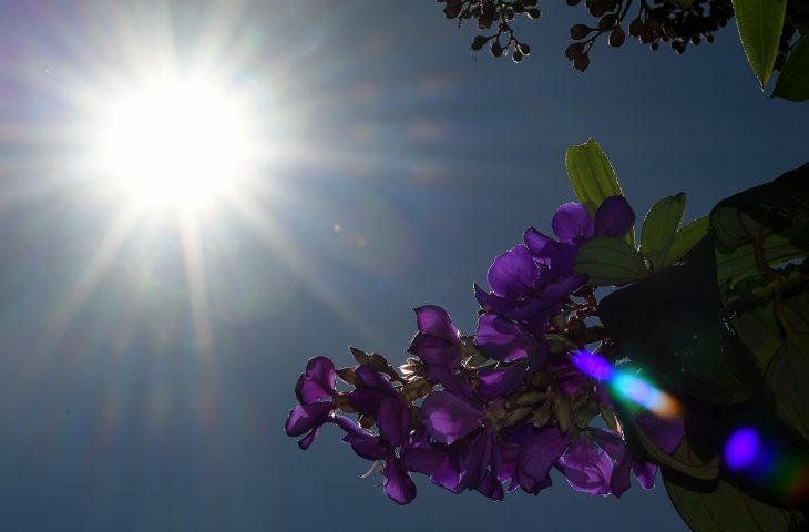 Terça-feira será de sol, baixa umidade e calor em Mato Grosso do Sul Terça-feira será de sol, baixa umidade e calor em Mato Grosso do Sul