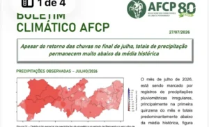 Moagem de cana em Pernambuco será marcada por períodos de seca devido ao El Niño moagem-de-cana-em-pernambuco-sera-marcada-por-periodos-de-seca-devido-ao-el-nino