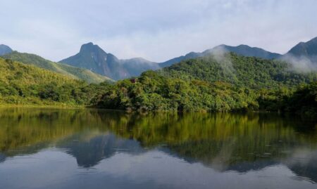 Projeto prevê recuperar 600 mil hectares de vegetação nativa no Brasil projeto-preve-recuperar-600-mil-hectares-de-vegetacao-nativa-no-brasil