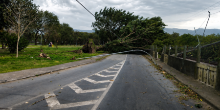 Ventos fortes matam três pessoas em São Paulo ventos-fortes-matam-tres-pessoas-em-sao-paulo