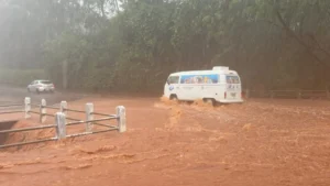 Alerta de tempestade coloca 53 cidades de Mato Grosso do Sul sob risco de granizo e ventos de até 100 km/h Alerta de tempestade coloca 53 cidades de Mato Grosso do Sul sob risco de granizo e ventos de até 100 km/h